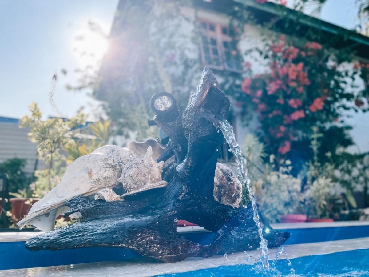 Cool Breeze Authentic Hotel Labuan Bajo Komodo Ngoại thất bức ảnh